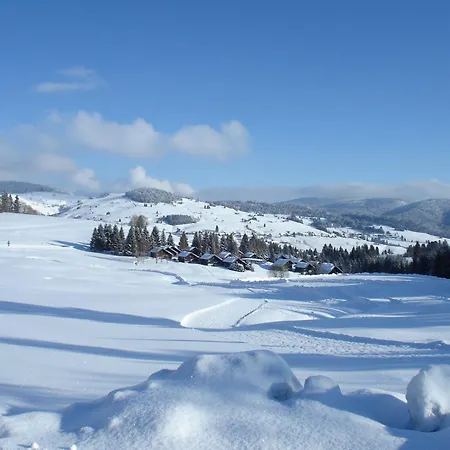 Baeren - Drei Sterne