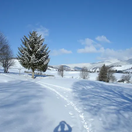 Gæstehus Baeren - Drei Sterne 3*