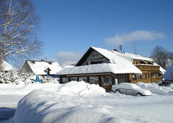 Baeren - Drei Sterne Guest house Bernau im Schwarzwald