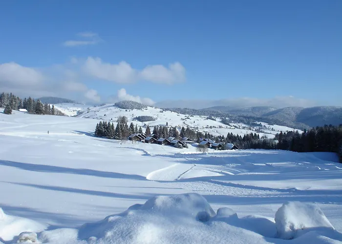 Baeren - Drei Sterne