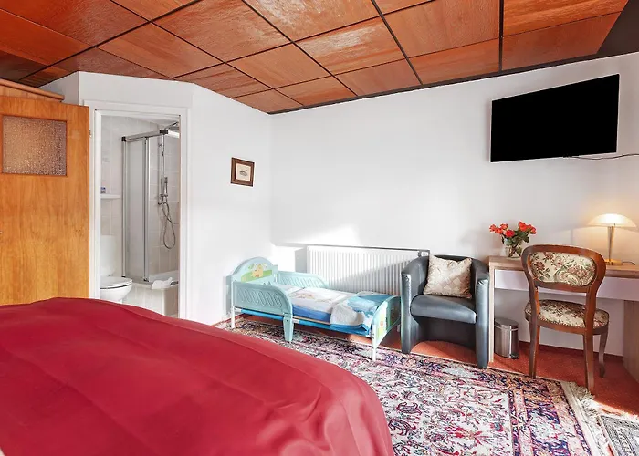 Baeren - Drei Sterne Guest house 3*