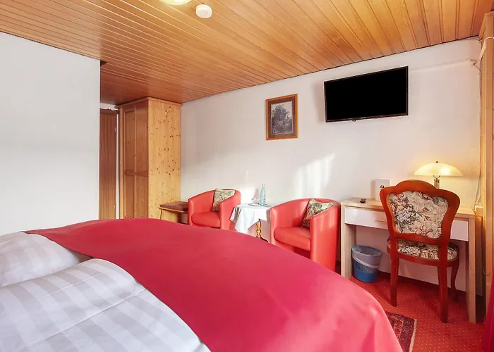 Baeren - Drei Sterne 3*