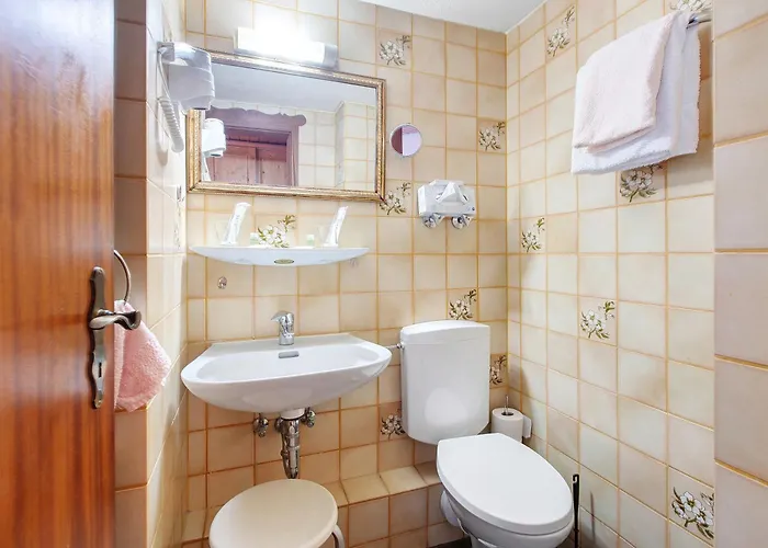 Baeren - Drei Sterne Bernau im Schwarzwald