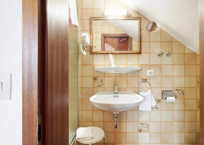 Baeren - Drei Sterne Guest house Bernau im Schwarzwald