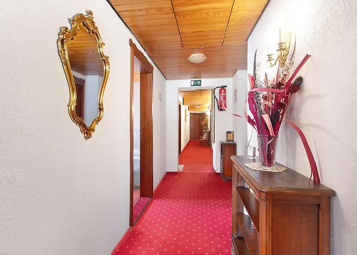 Baeren - Drei Sterne