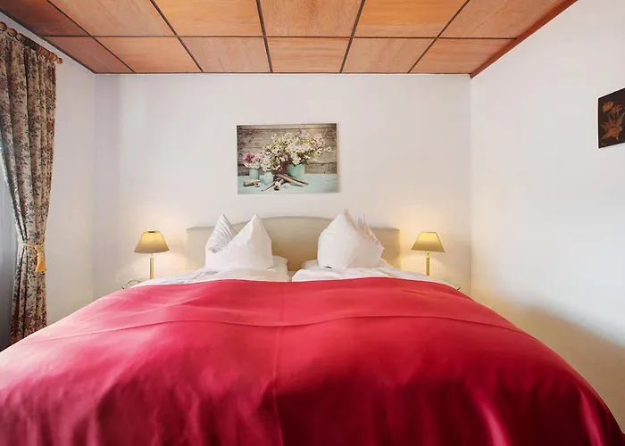 Baeren - Drei Sterne